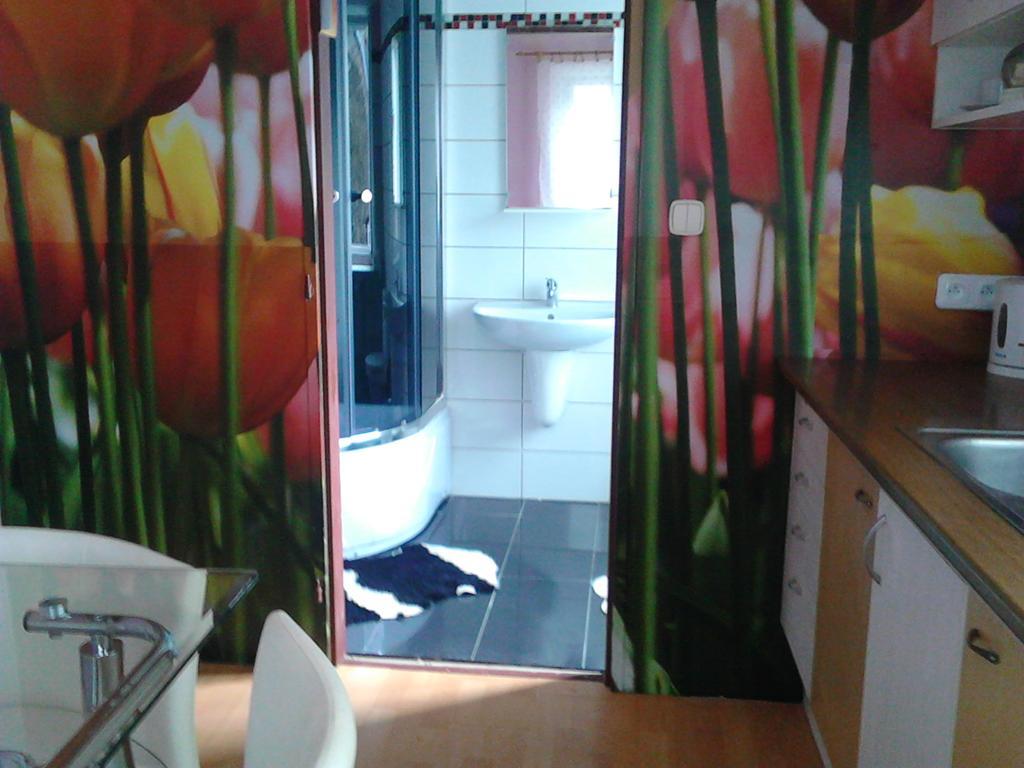 Jiretinska Chaloupka Apartment Jiretin pod Jedlovou Luaran gambar