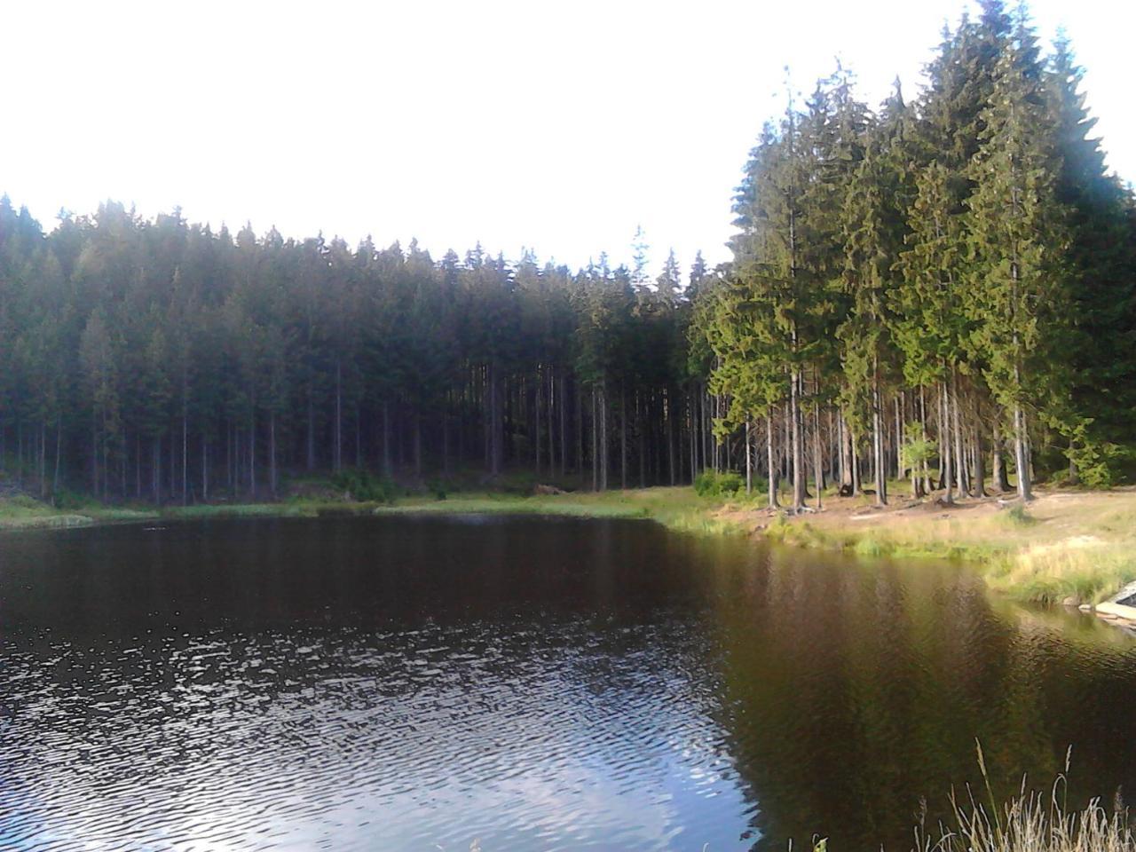 Jiretinska Chaloupka Apartment Jiretin pod Jedlovou Luaran gambar